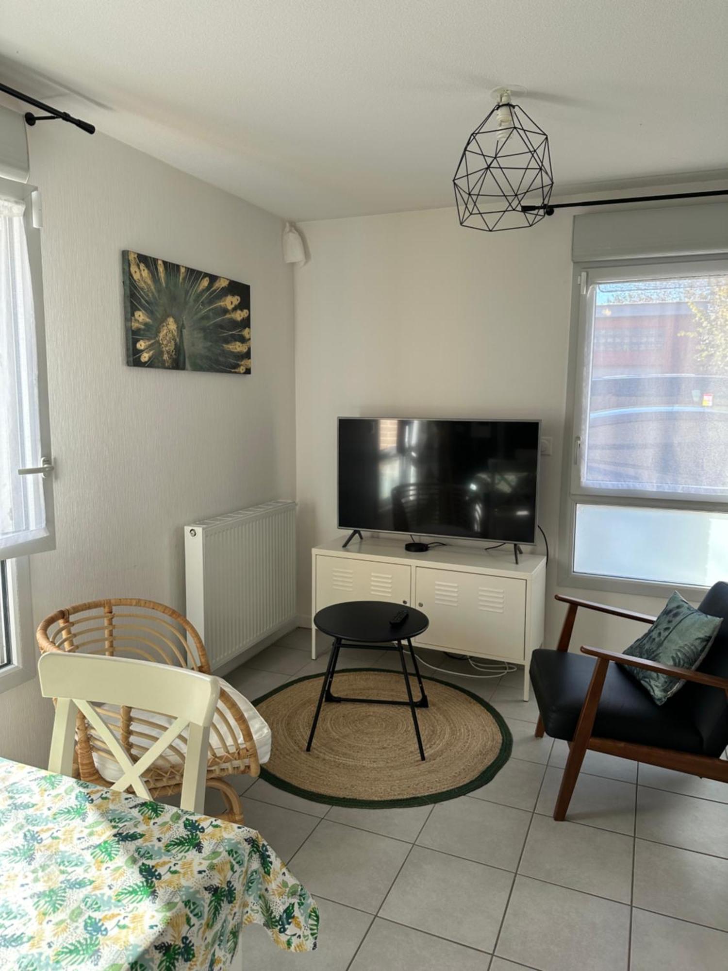شقة Minimes, Studio Cosy Tout Confort, Wifi, Parking تولوز المظهر الخارجي الصورة